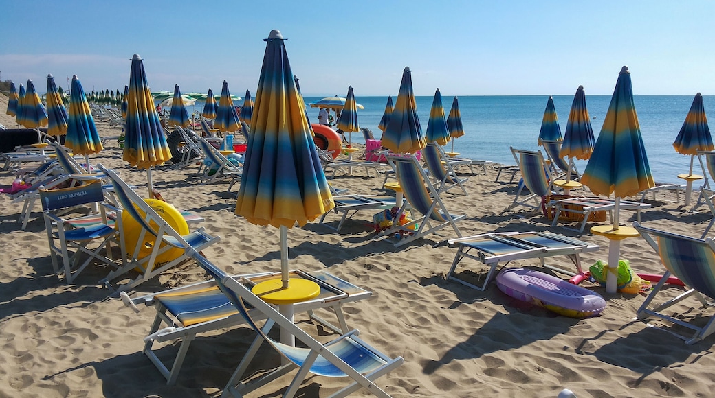 Bathing establishments on the beaches of Basilicata