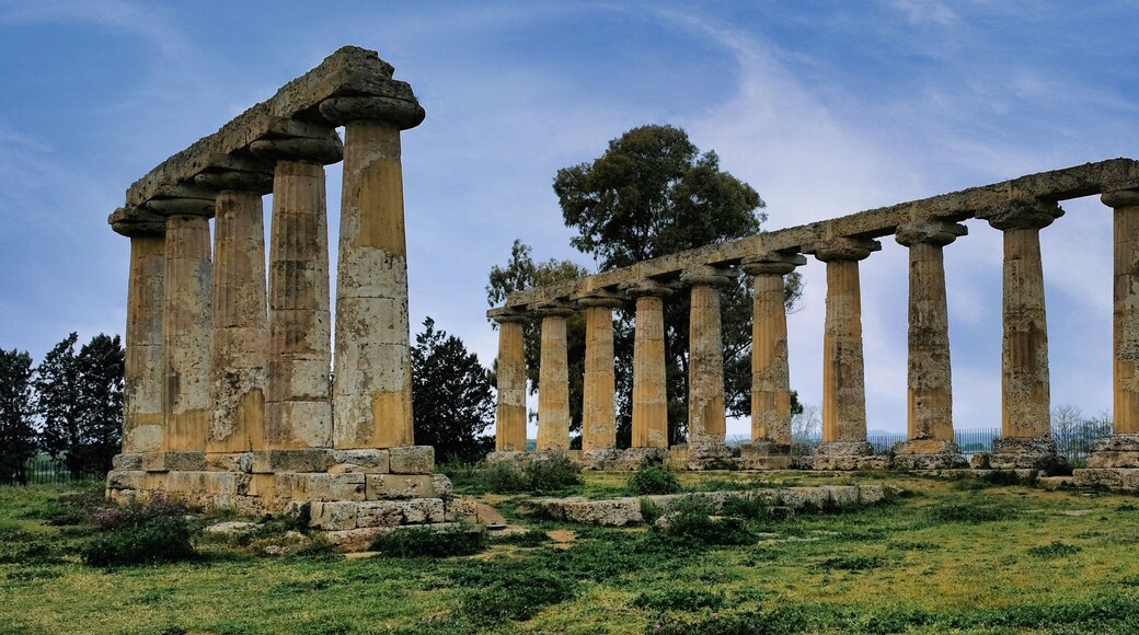 In the archaeological area of Metaponto, (Matera, Italy) the Palatine Tables represent the remains of a magnificent Doric temple dedicated to the goddess Hera, dating back to the 6th century BC