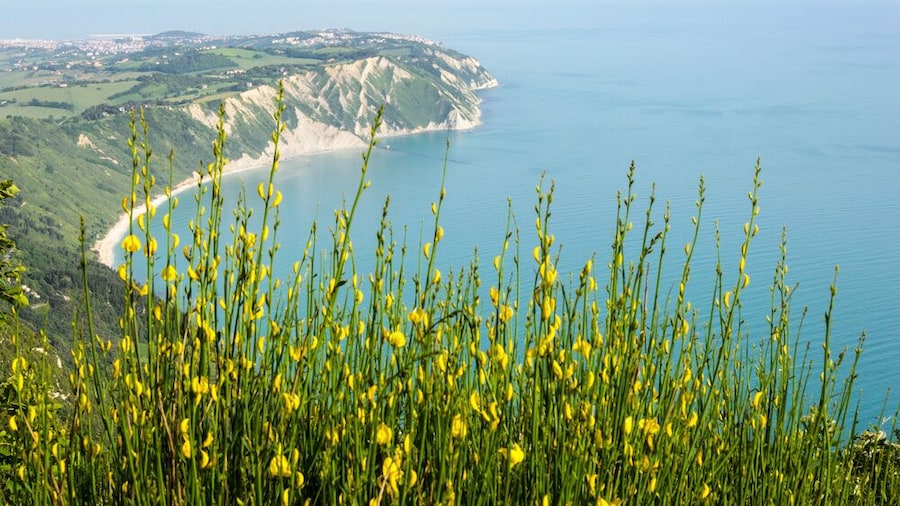 An image of the coast from Mount Conero