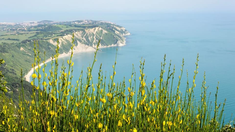 A coastal landscape with a sandy beach, green hills, and yellow flowers in the foreground.