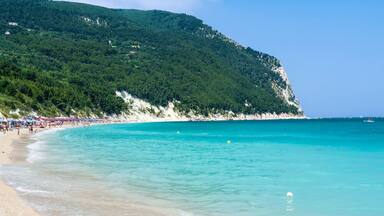A beach with clear turquoise water, a sandy shore, and a forested hill in the background.