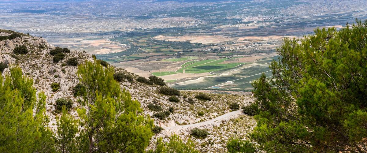 A mountainous landscape with pine trees, a winding path, and a distant cityscape.