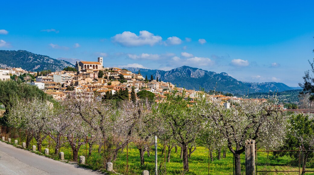 Idyllic view of the mediterranean mountain village Selva on Majorca Spain, Balearic Islands
