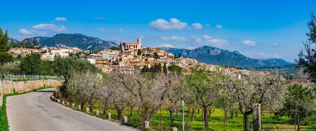 A hillside village with buildings, a road, and blooming trees.