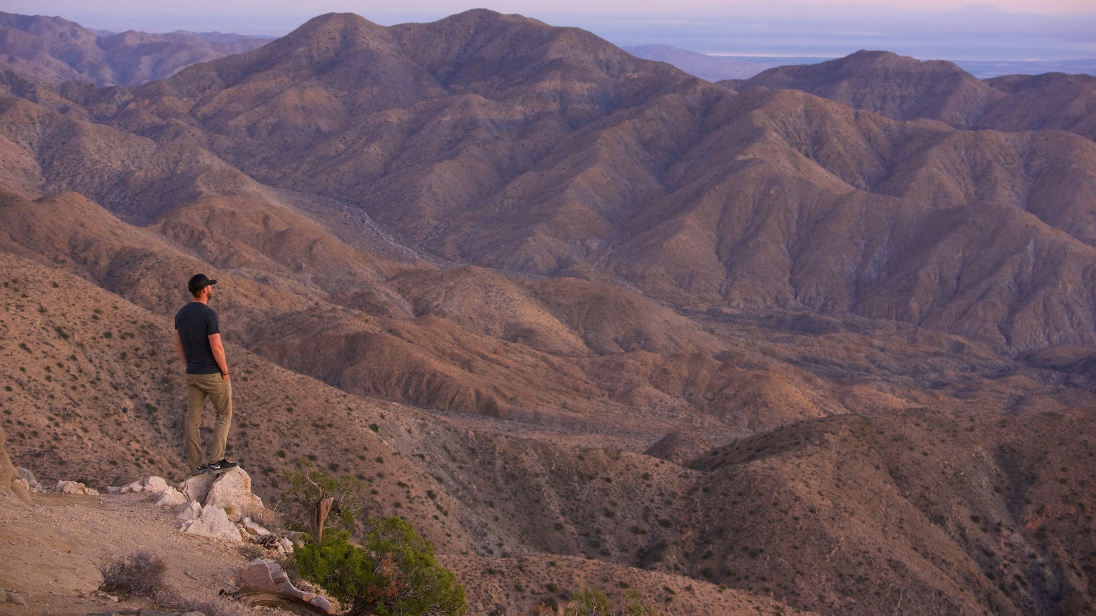 Joshua Tree National Park