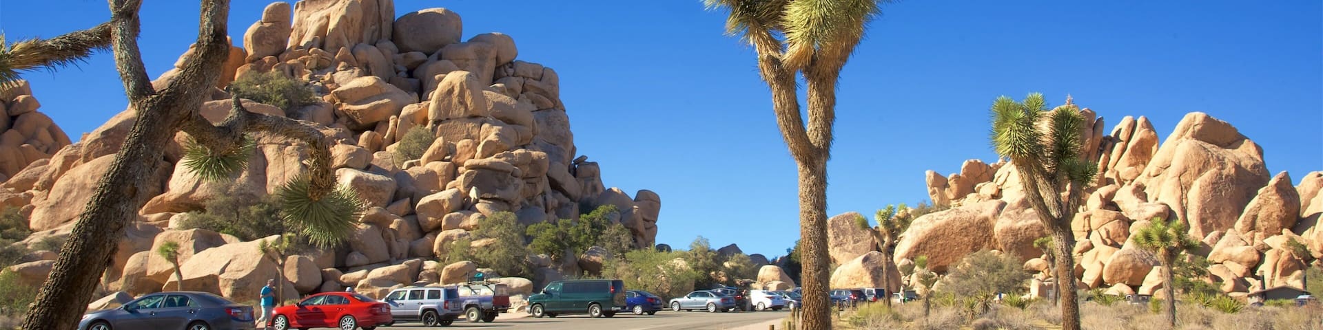 Joshua Tree National Park