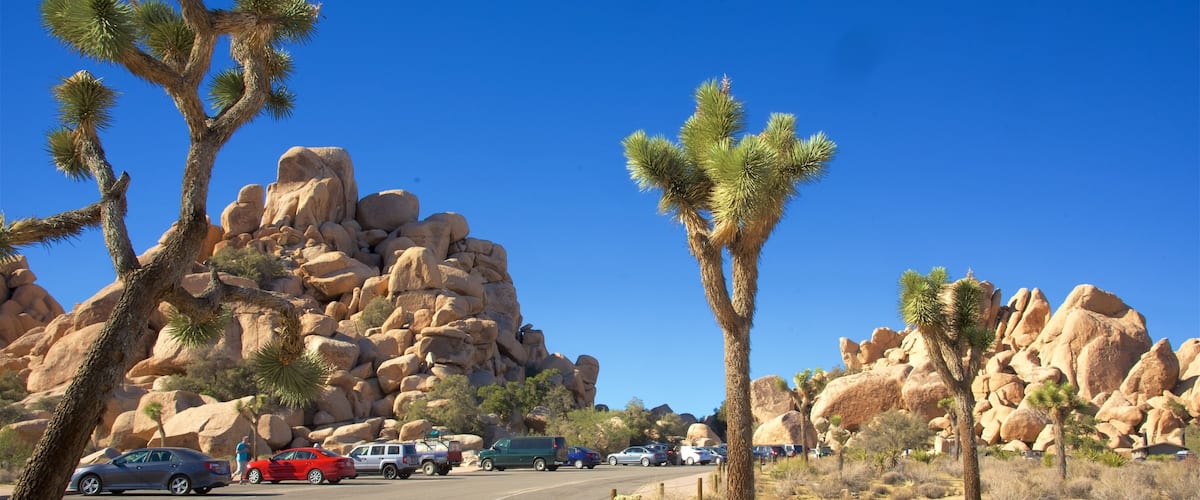 A desert landscape with large rock formations, Joshua trees, and a road with vehicles.