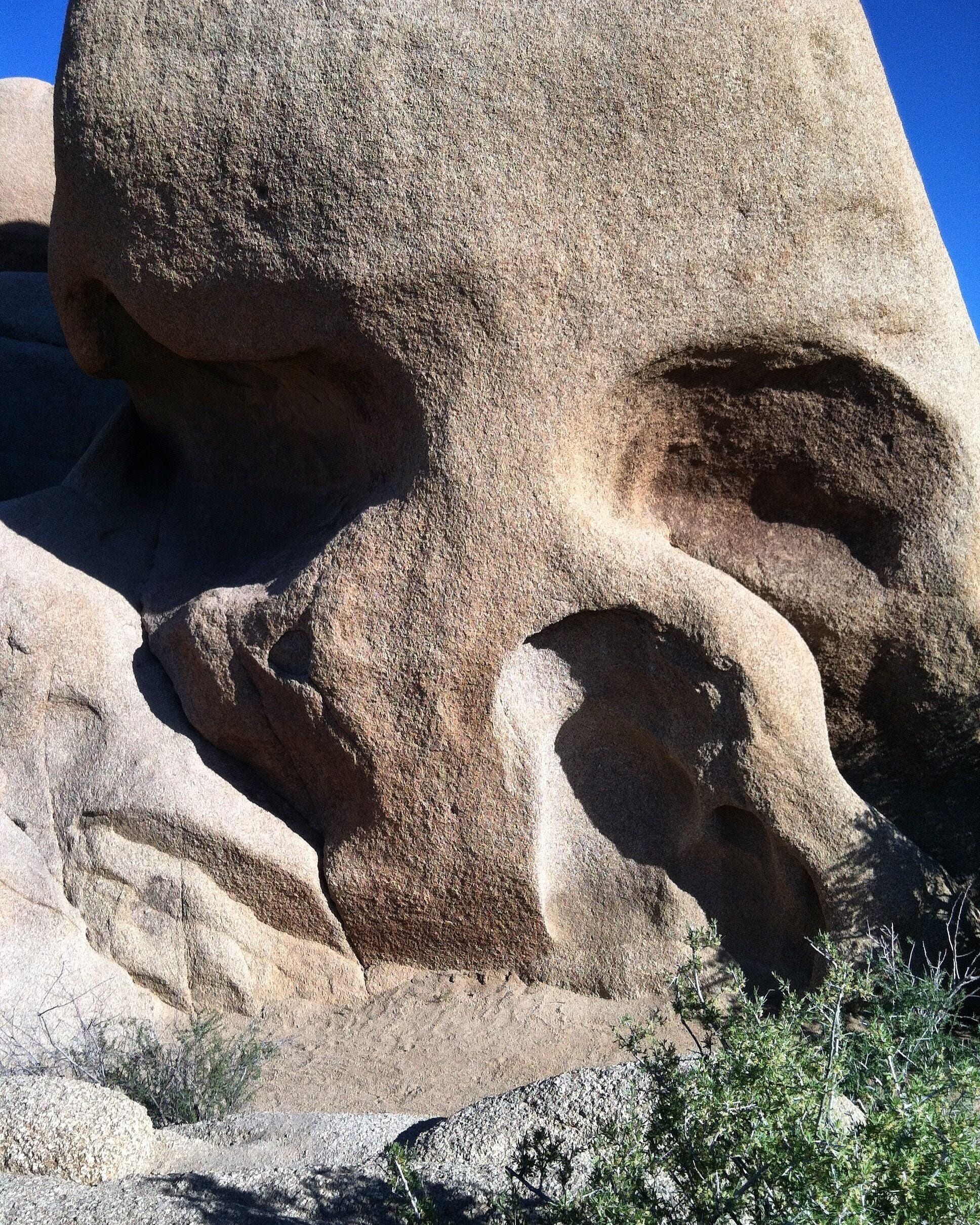 Skull rock at Joshua Tree! This awesome spot doesn't even require a hike! He sits roadside :)