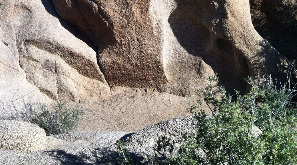 Skull rock at Joshua Tree! This awesome spot doesn't even require a hike! He sits roadside :)