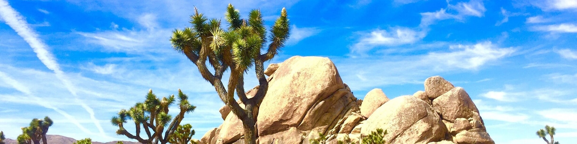 Love this Californian desert! Great park for hiking and camping, trails here are a blast and unique from so many of the other national parks I've been too! Pack plenty of water!!!