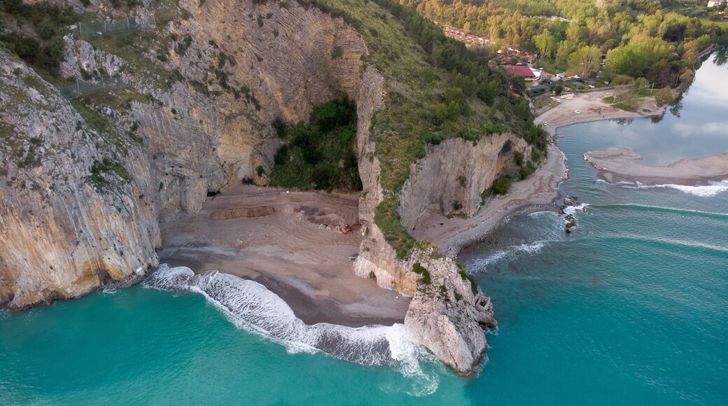 Camerota