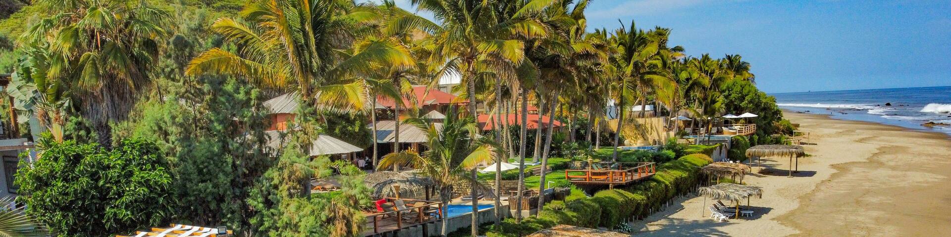 A beach with thatched umbrellas, lounge chairs, and palm trees.