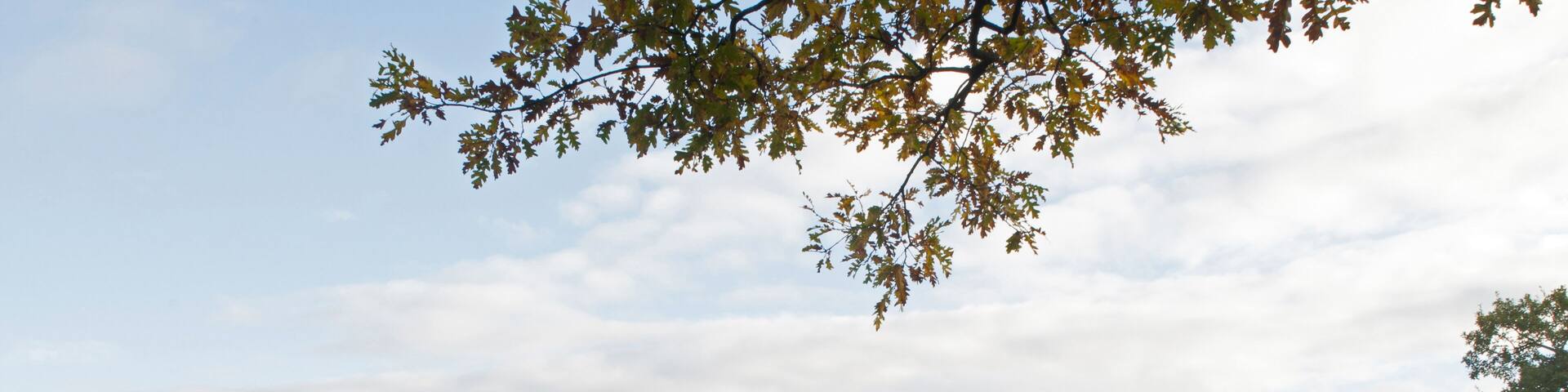 Semproniano. Locality: Tuscany, Italy.; Shutterstock ID 751477162; Purchase Order: -