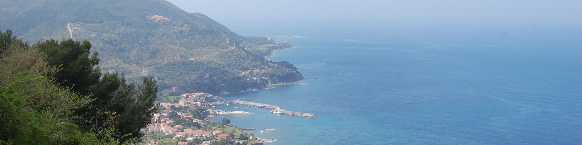 Punta licosa da Castellabate