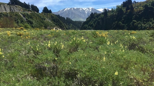 Rakaia Gorge - Walking along Rakaia Gorge, you can see Mt. Hutt from the distance.