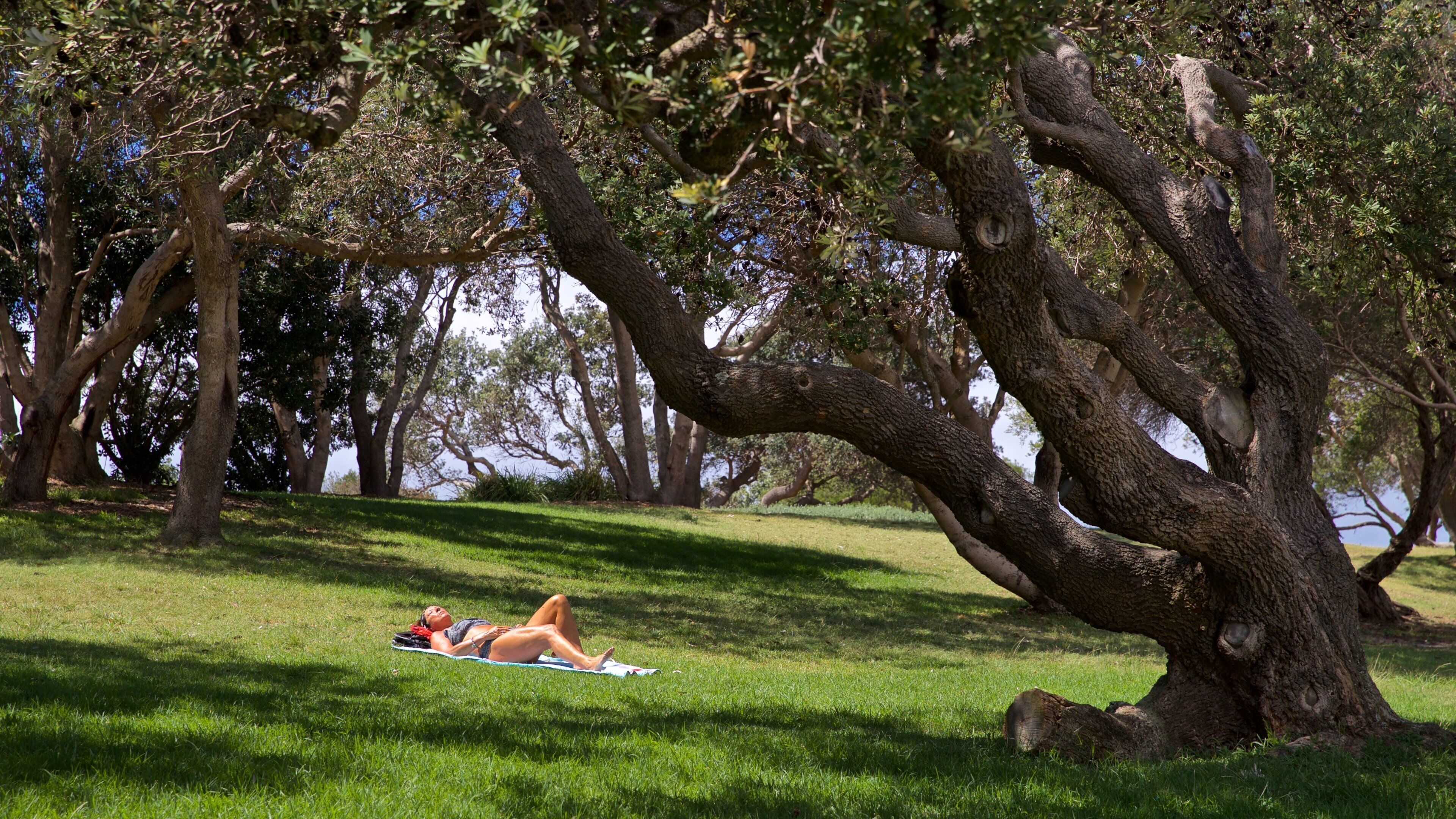 Strand von Coogee welches beinhaltet Garten sowie einzelne Frau