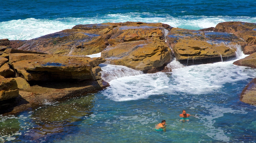 Coogee Beach which includes rugged coastline, swimming and general coastal views