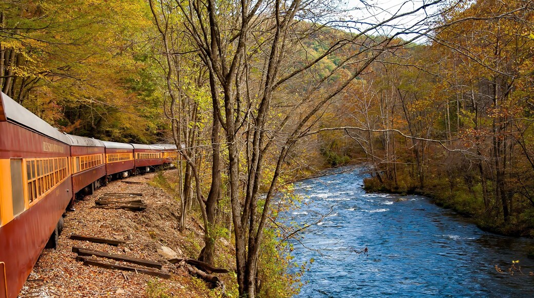 Bryson City, North Carolina - 10/23/2008: Smoky Mountains Railroad Scenic Train, adjacent to the Tuckasegee River. It is a freight and heritage railroad in Western North Carolina