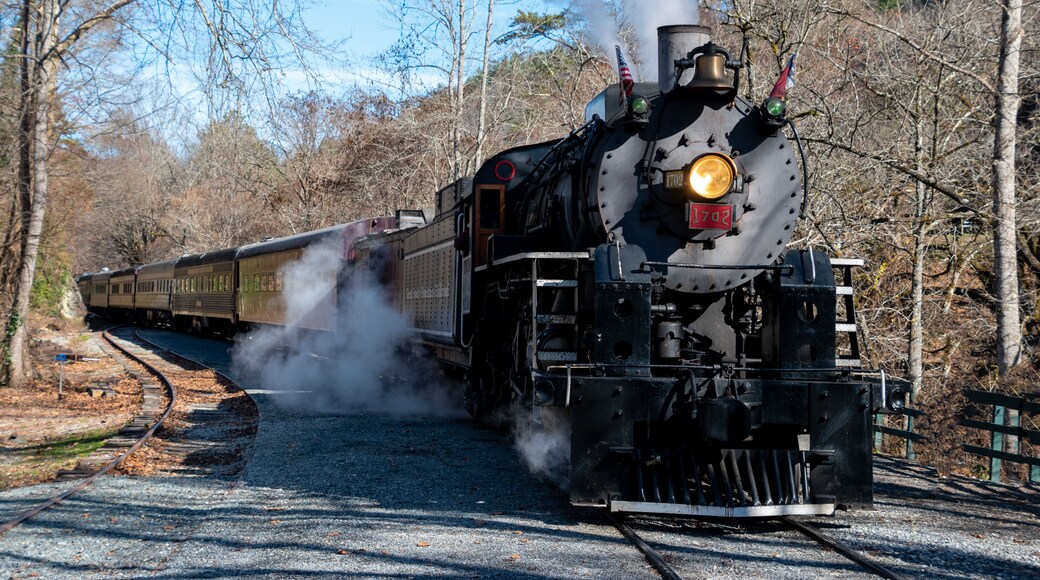 A steam powered locomotive on the train tracks in the Great Smoky Mountains