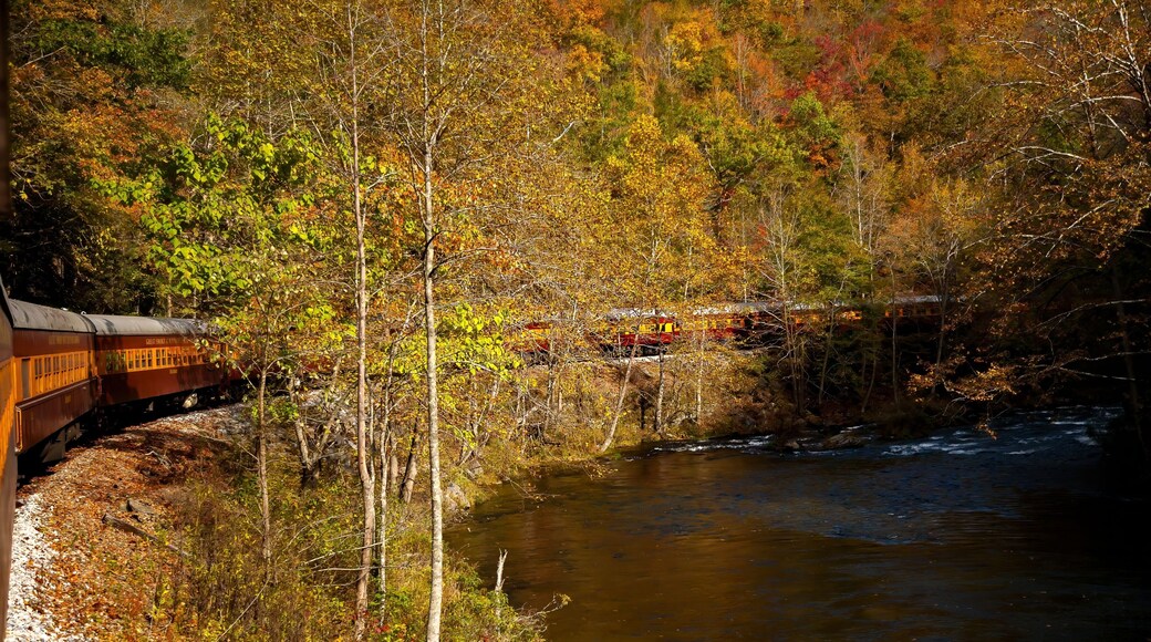 Smoky Mountains Railroad Scenic Train, adjacent to the Tuckasegee River. It is a freight and heritage railroad in Western North Carolina