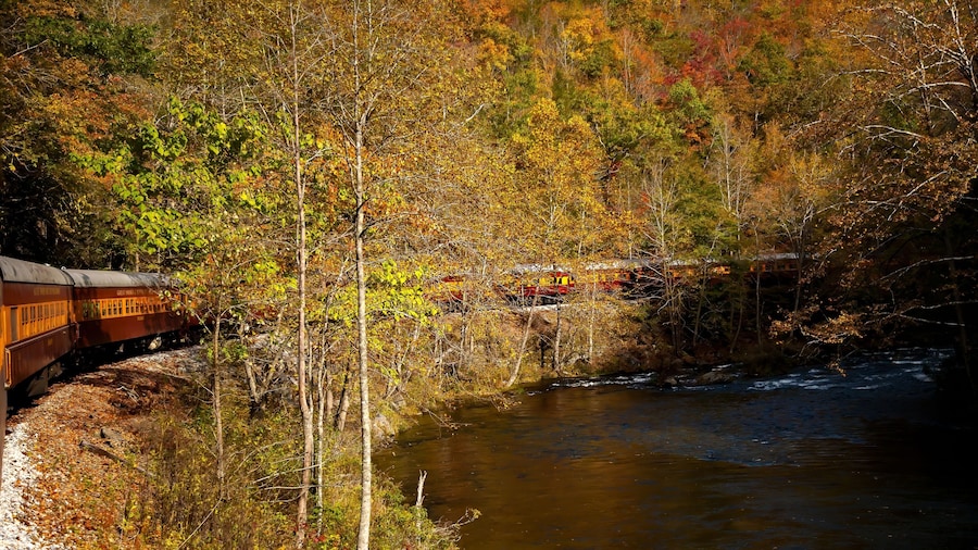 Smoky Mountains Railroad Scenic Train, adjacent to the Tuckasegee River. It is a freight and heritage railroad in Western North Carolina
