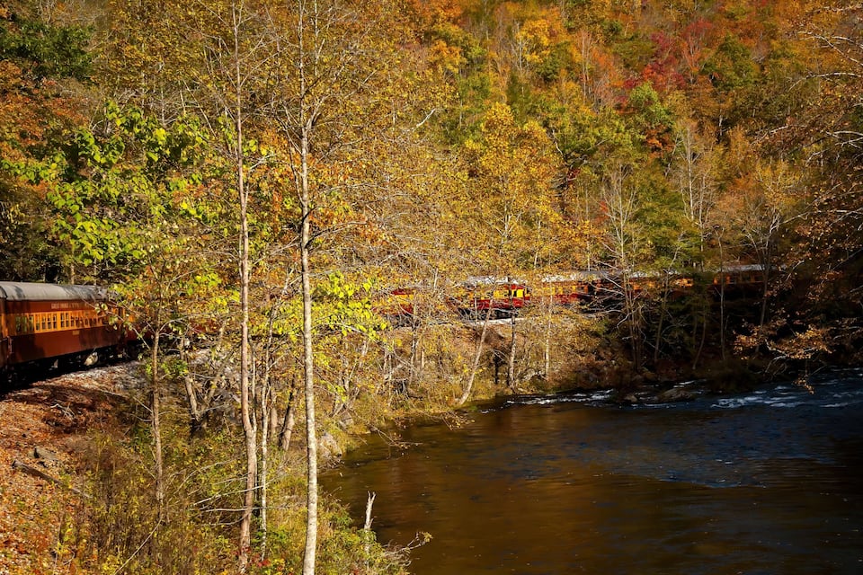 Un tren viajando por una zona boscosa con un río.