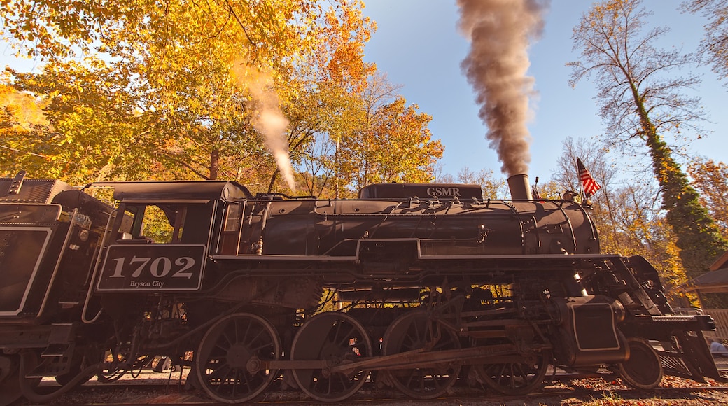 great smoky mountains rail road autumn season excursion