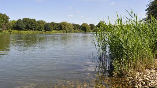 A part of Bocholt - Aasee