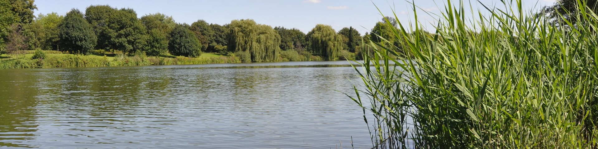 A calm lake with clear water, surrounded by lush greenery and trees.