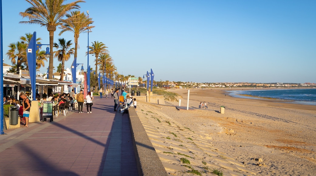 La Barrosa Beach showing a coastal town, a sandy beach and general coastal views