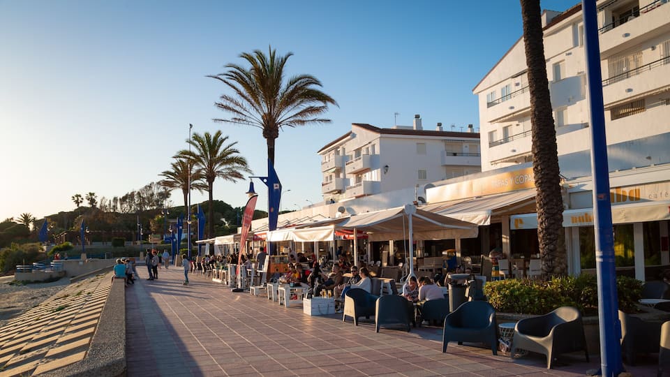 A coastal promenade with palm trees, outdoor cafes, and people walking.