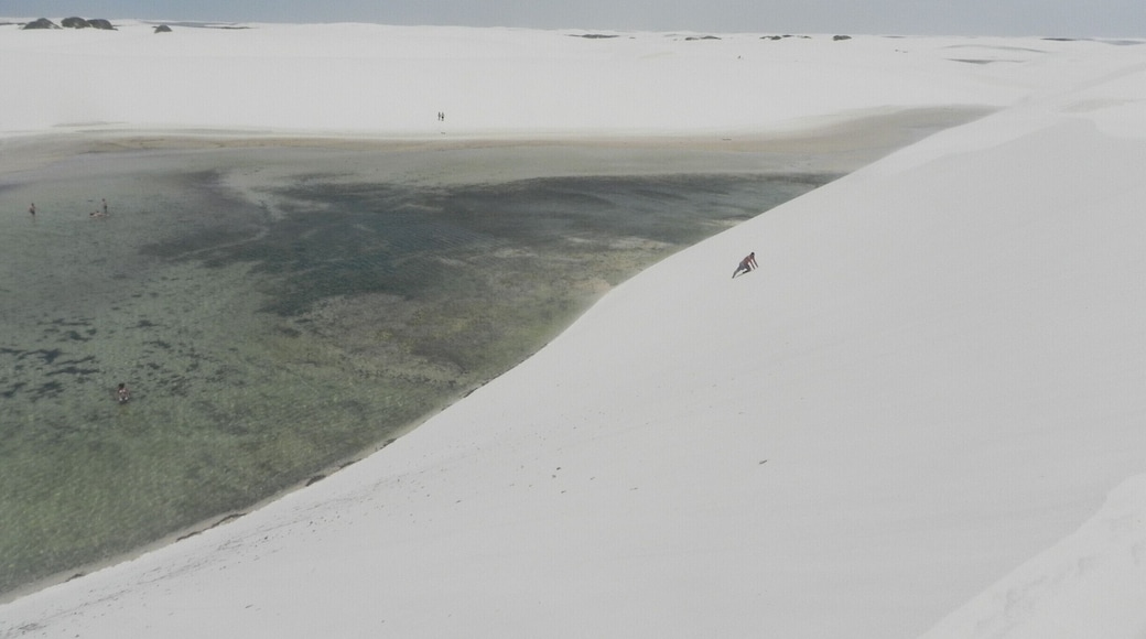 Dunes are so high here that sometimes we need to crawl in order to reach the top of it. But the effort is worth it. Hundreds of white and absolutly clean dunes surrounded by lagoons/lakes formed by rainwater are what we call "Lençóis Maranhenses". To visit it you need local guides and a special transortations good enough to cross the vegetation that surrounds it.