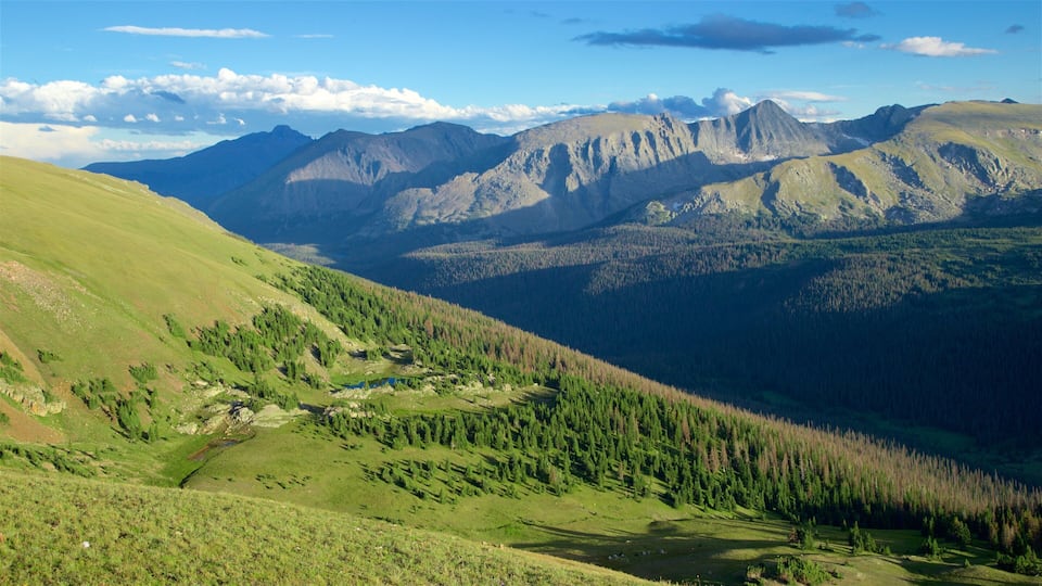 A mountainous landscape with a valley, dense forests, and a small lake.