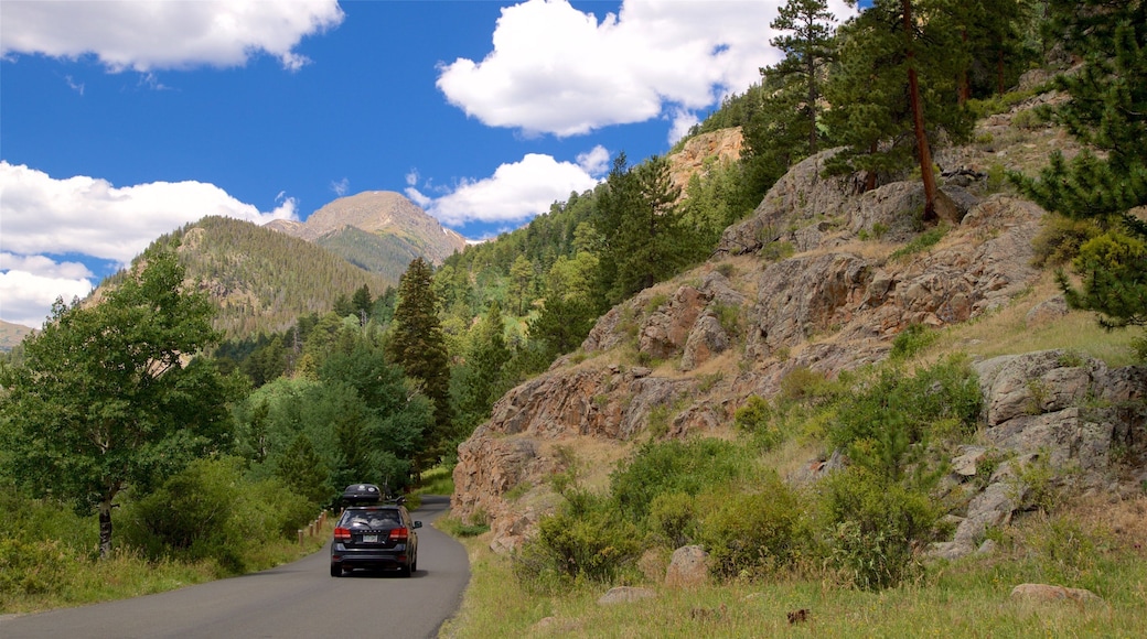 Rocky Mountain nasjonalpark som viser rolig landskap