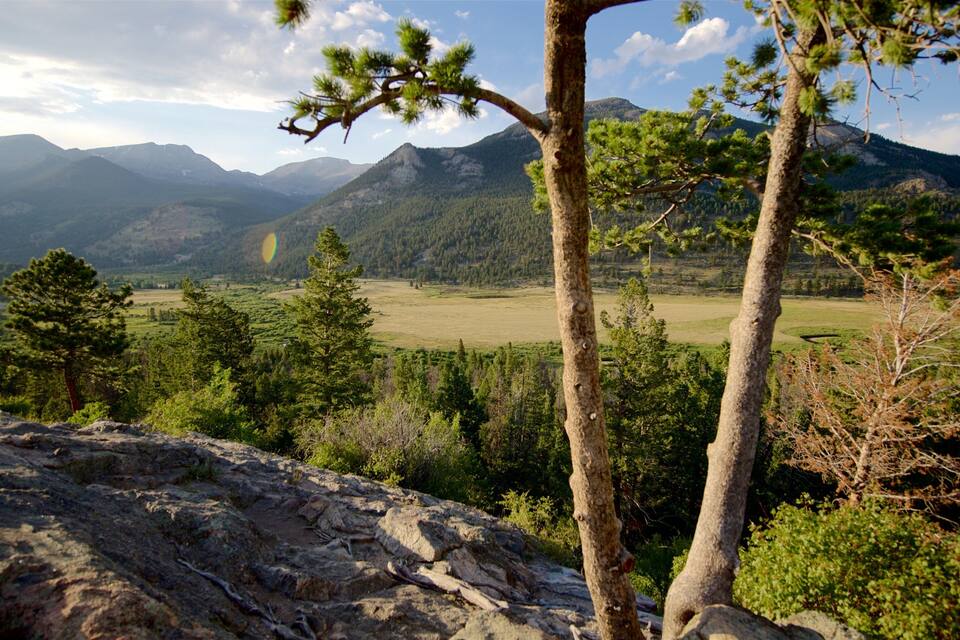 A mountainous landscape with a clear sky, rocky foreground, and dense forest.