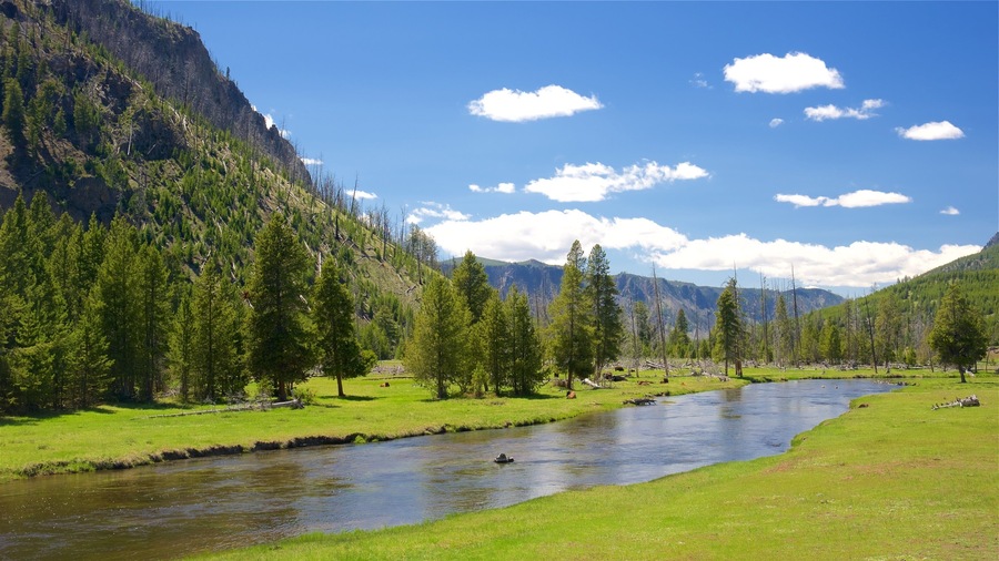 Yellowstone National Park