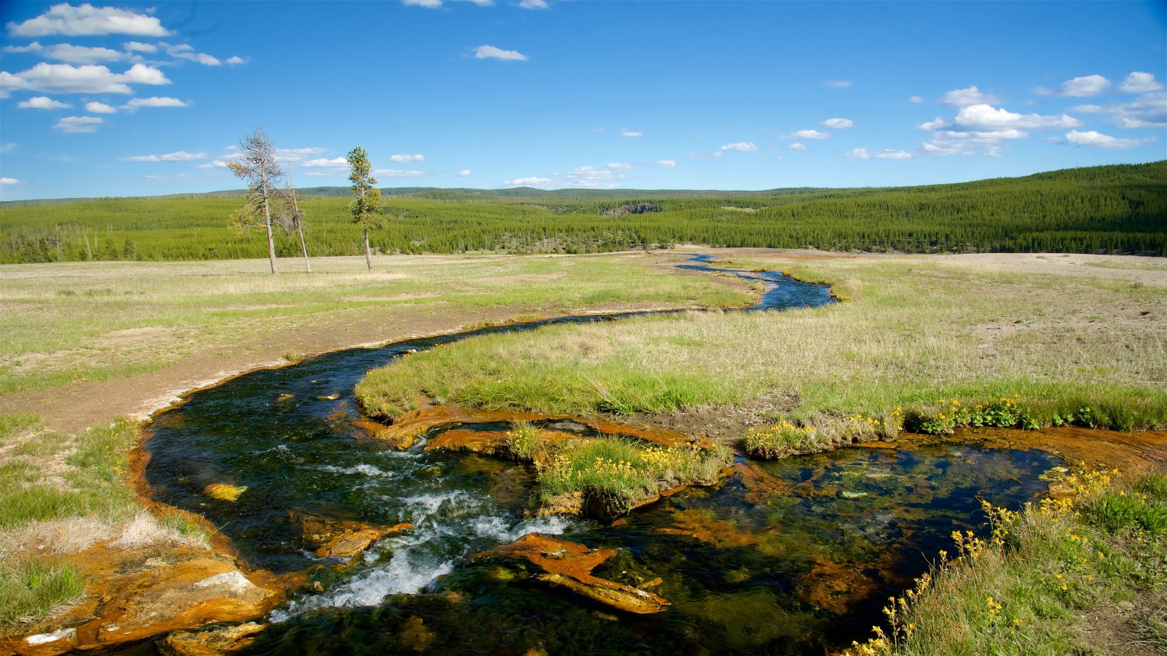 Yellowstone National Park