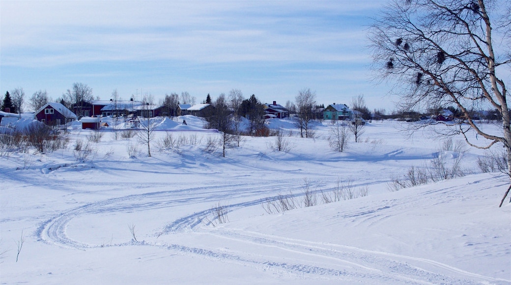 Karesuando which includes tranquil scenes and snow