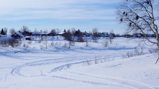 Karesuando which includes tranquil scenes and snow