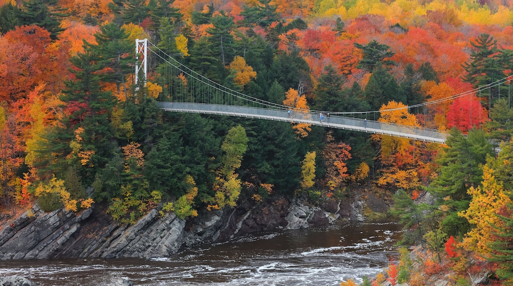 Chaudière River Suspension Bridge at Chaudière Falls Park surrounded with fall foliage.