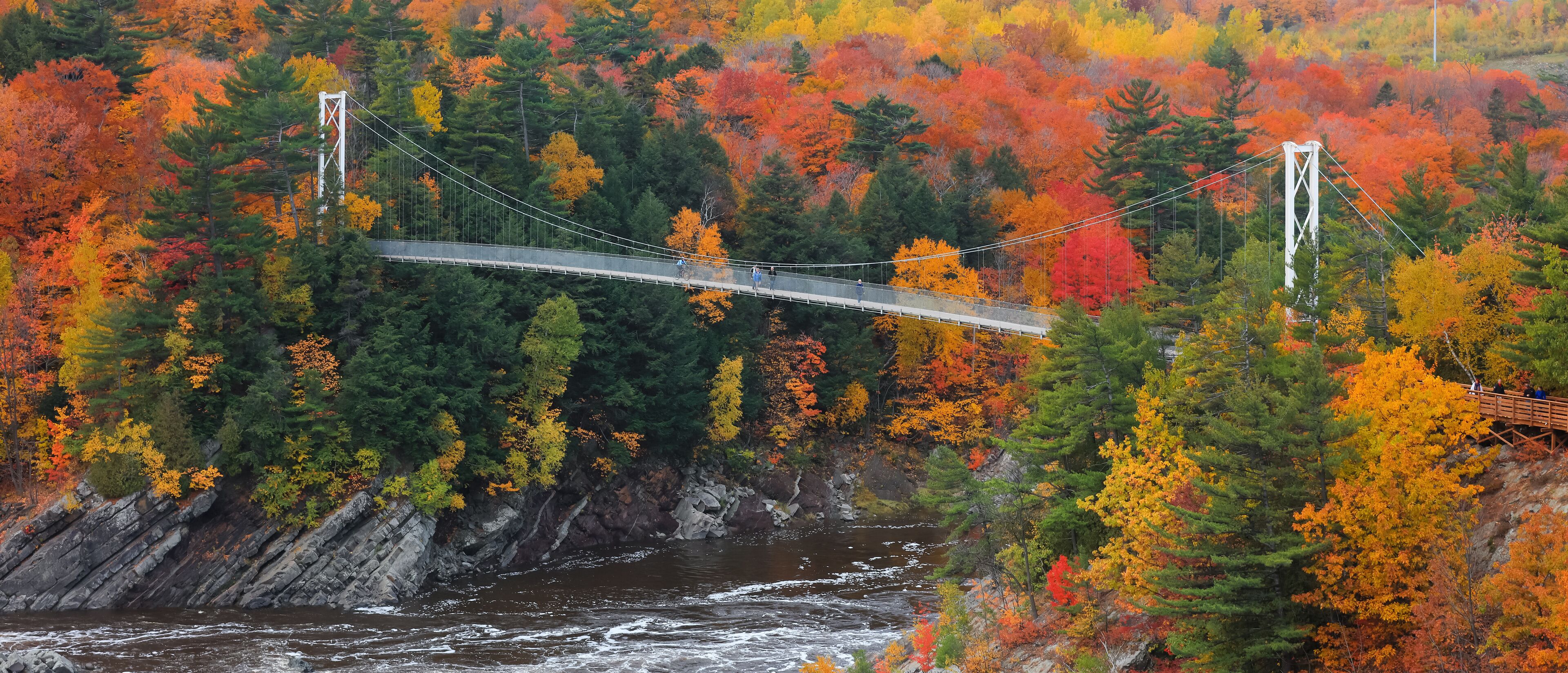A suspension bridge over a river, surrounded by autumn-colored trees.