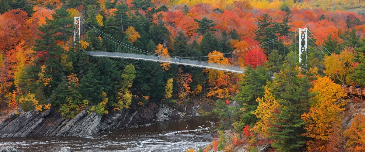 A suspension bridge over a river, surrounded by autumn-colored trees.