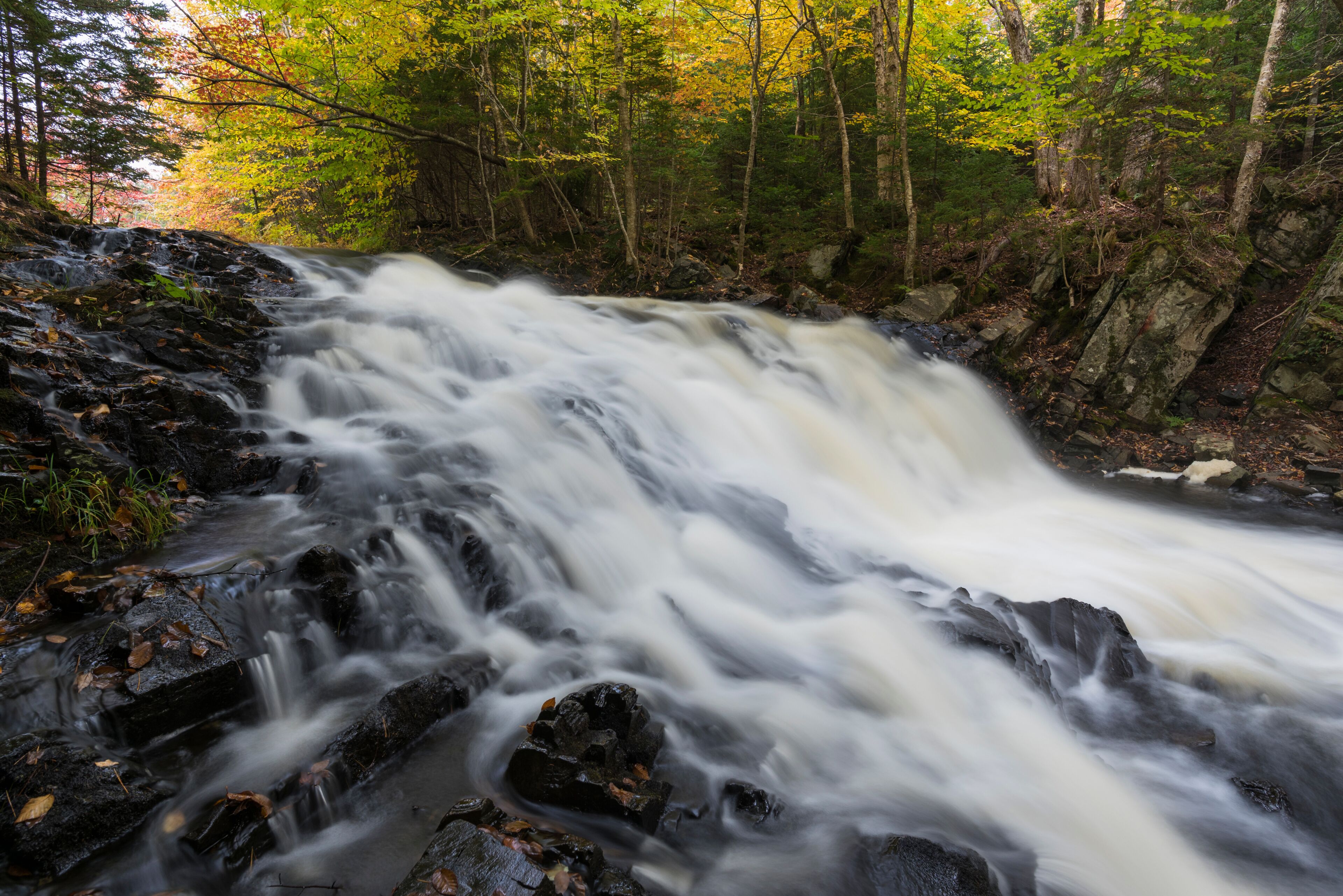 Miller's Falls in Autumn, Fall River, Nova Scotia