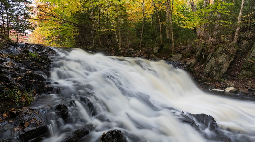 Fall River