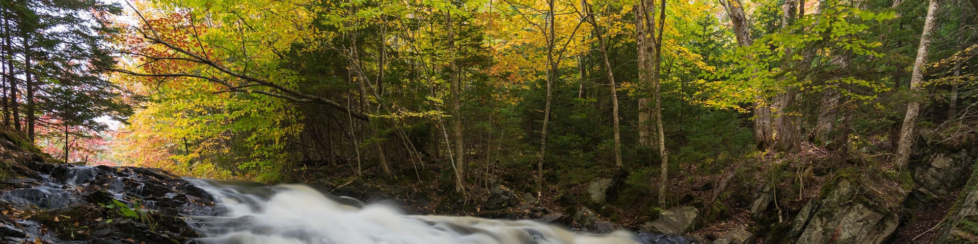 A waterfall cascading over rocks in a forested area with autumn foliage.