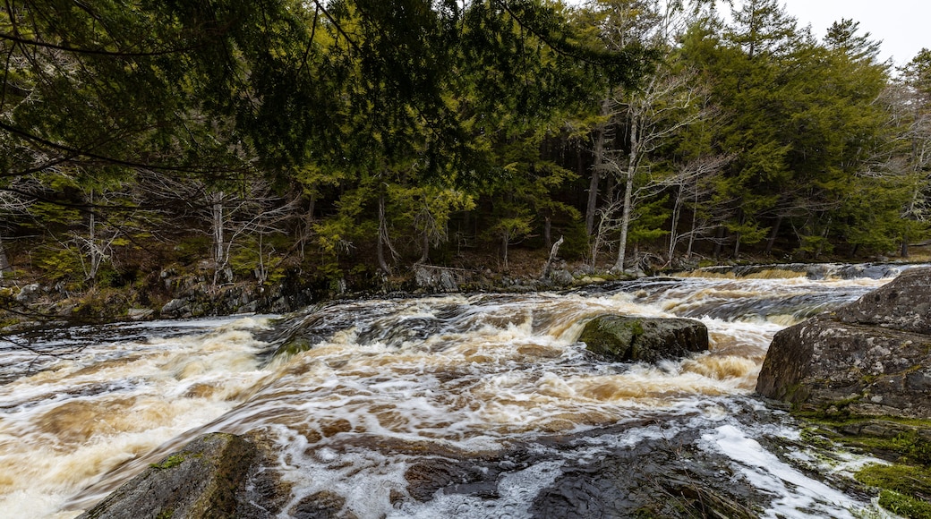 The Mill Falls and River in Nova Scotia Canada