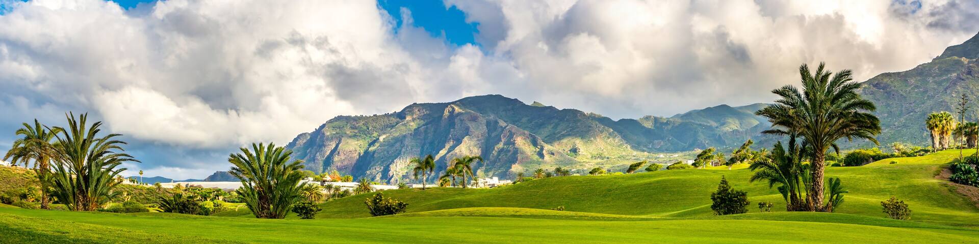 A lush green landscape with palm trees, a mountain range, and a clear blue sky.
