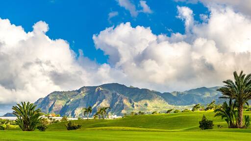 Buenavista del Norte