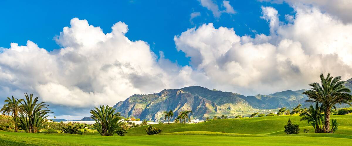 A lush green landscape with palm trees, a mountain range, and a clear blue sky.