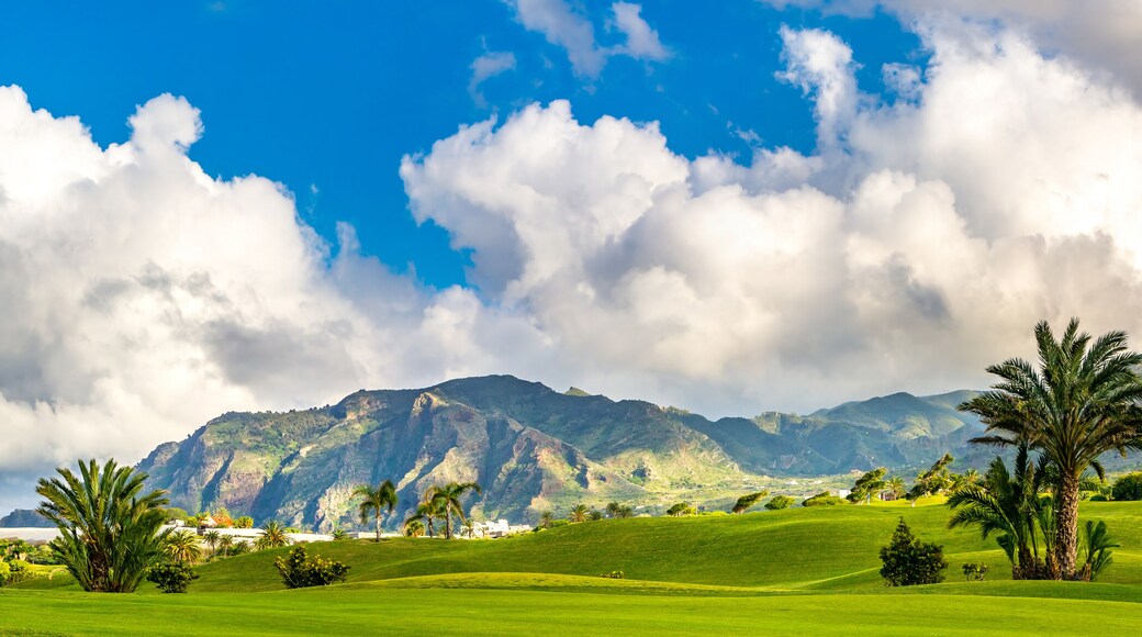 布埃纳维斯塔德尔诺尔特